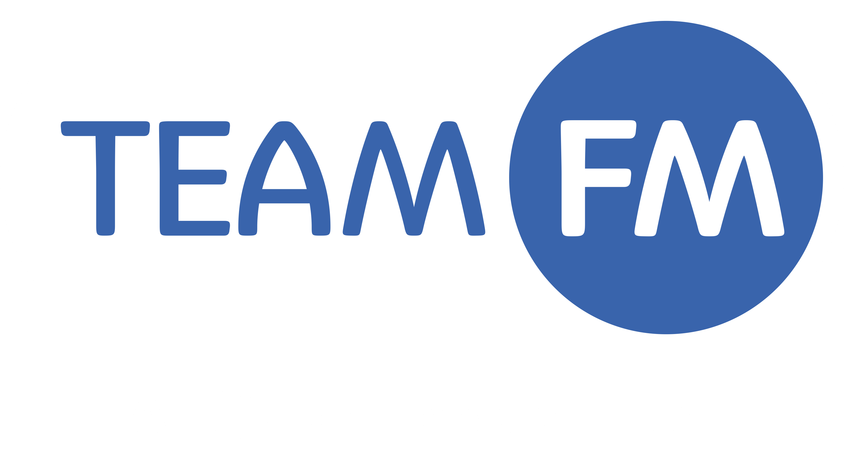 Team FM 